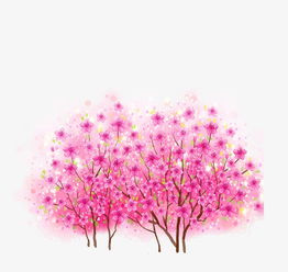 粉色桃花素材图片免费下载 高清装饰图案png 千库网 图片编号245772 
