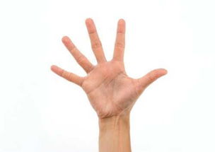为啥手指长短能决定寿命 美国专家告诉你不知道的秘密