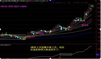 股票里的90%成本8.96--11.10之间 集中度10.67%是什么意思