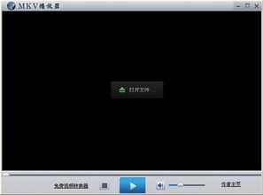 mkv视频格式播放器