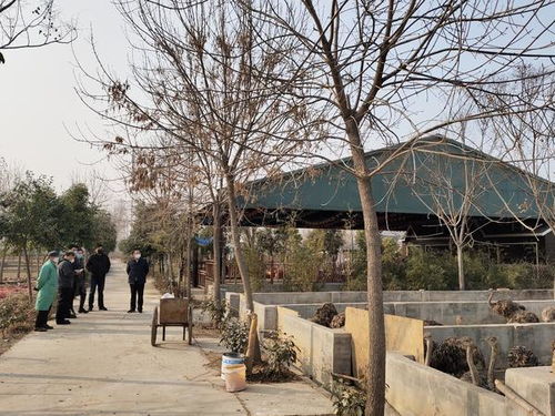 疫情防控期间,郑州4家动物园和120处经营花鸟 宠物的场所全部关闭 
