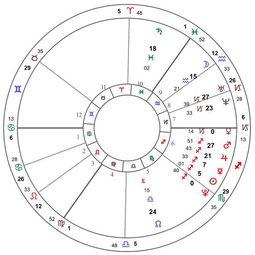 卜卦占星 Horary Astrology 的寻物案例 