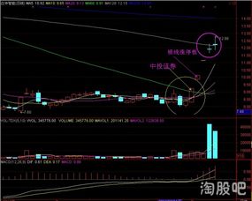 股票上涨的技术形态主要有哪些