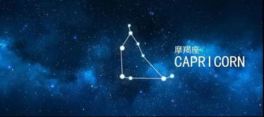 连晓明塔罗牌占卜 十二星座塔罗周运 9.23 9.29