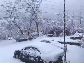 大连这个地方下雪了,还是大雪 近期天气转晴,但一定要注意这些