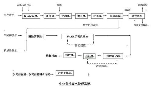 南财查重全面解析：服务、流程与优势