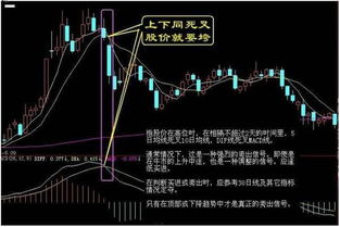 请问股票里的"；斩仓"；是什么意思?