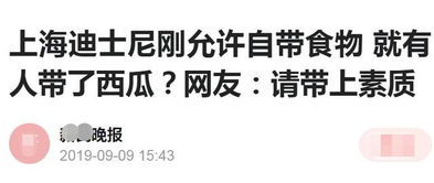 男子带西瓜进迪士尼遭疯狂谩骂没素质 我只能说,你还没脑子呢