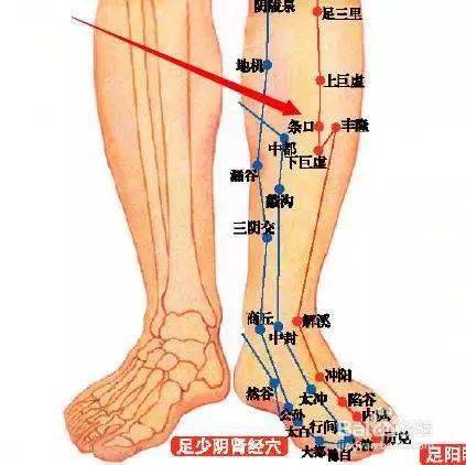 肩膀痛,按腿上一个穴位就缓解,功效强大