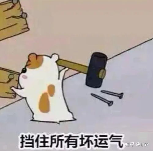 网恋两年,我得到了什么 