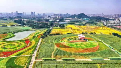 沧海变桑田 地名里的深圳故事