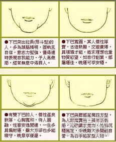 面相学 屁股下巴的面相意义