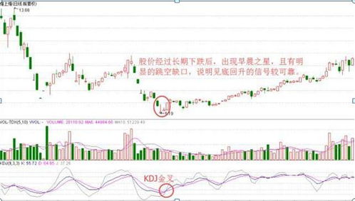 中小型投资者在股市应如何投资