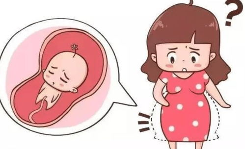 原创孕妈肚子“一跳一跳”是胎动？不，还有可能是这些情况