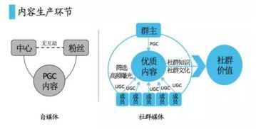 自媒体新模式,新手如何掌握运营技巧,实现快速转正开始收益