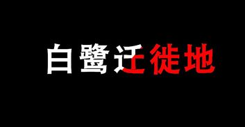 求问在AE里面怎么改变字体的部分颜色 