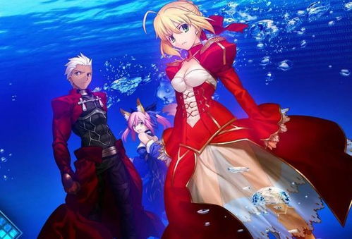 fate extra新房风让人看的头秃 还是以前的作品比较精彩