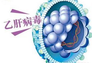 精子头部也含乙肝病毒 揭秘十个乙肝冷知识 