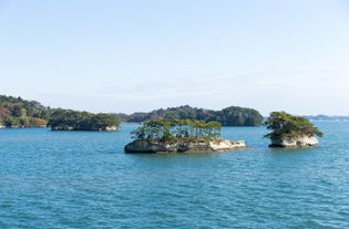 松岛町松岛攻略,松岛町松岛门票 游玩攻略 地址 图片 门票价格 