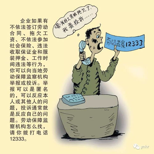 我想到云南上班！不知道有哪些可以进去的国企