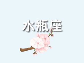 得而不惜,失去了反而会更难受的三大星座