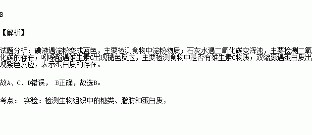 用来检测蛋白质的试剂是（　　）    A．碘液  B．双缩脲试剂  C．吲哚酚试剂  D．高锰酸