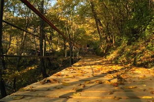 会当凌绝顶,一览众山小 吉林市登山攻略,值得收藏