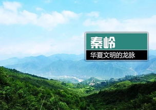 陕西省秦岭生态环境保护条例 12月起正式实施 核心保护区面积占比由0.77 提至13.92