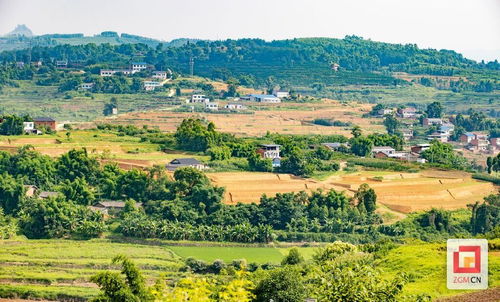 四川自贡荣县高山镇