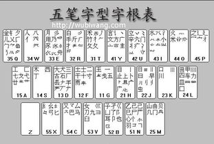 请问学打五笔怎么才能学会 