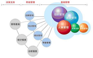 企业如何进行管理与培训