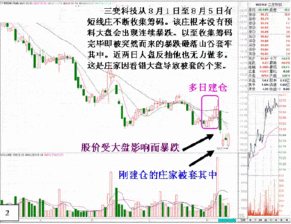 请问高手 庄家怎么会看错市？ 怎么被套的？ 要详解 小弟不甚感激。。。