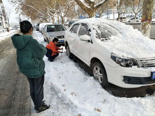 南方下雪后,为啥没几个敢开车 车友 北方司机去一次就懂了 