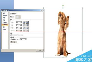 PPT文档中怎么水平或竖直镜像翻转图片呢
