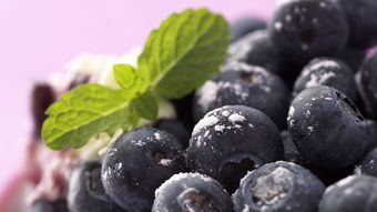 蓝莓的营养价值及功效与作用(蓝莓有什么功效)