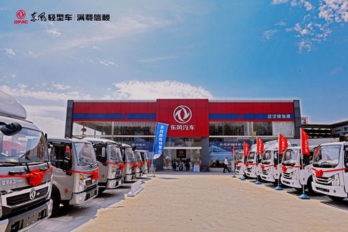 武汉的东风汽车股份有限公司是做什么车型的?车子是否好卖，待遇怎么样啊？