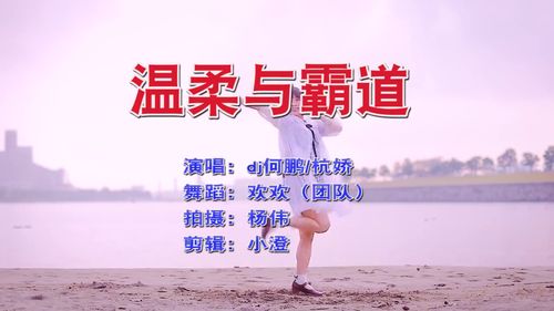 经典情歌 温柔与霸道 DJ版旋律劲爆,太好听了 