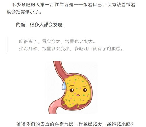 胃真的会越撑越大,越饿越小 没想到真相竟是