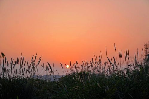 3月结束,梧桐细雨,爱你依旧的3星座,誓要逐爱,余生不错过