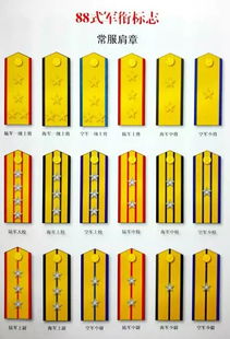 军衔最高级别(军衔最高级别叫什么怎么称呼)