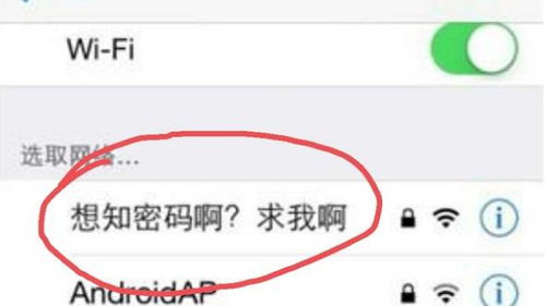 我们所见过的奇葩WIFI名字,哼 就不给你连WIFI