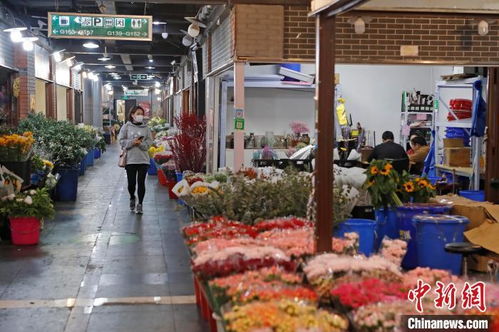 上海最大鲜花批发市场复工 各商家营业额恢复至七成 
