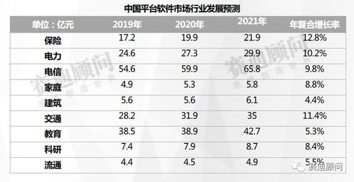 2019 2021年中国平台软件市场预测与展望数据