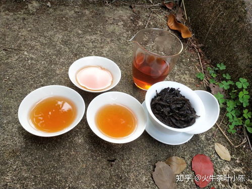 水仙茶属于什么茶,茶科普，漳平水仙茶属于什么茶？