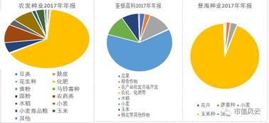 登海种业怎么样？