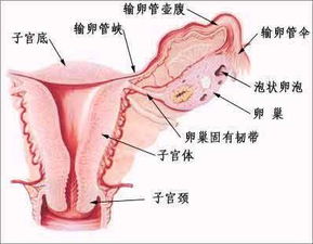 杭州输卵管不通治愈要几次痊愈