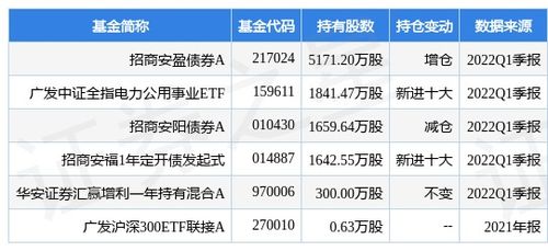 国电电力股票股吧