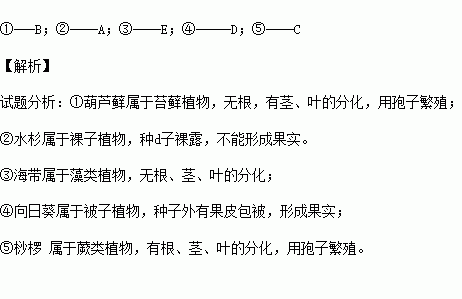 请将下列植物名称与所属类群进行配对.答案写在对应的括号内. 题目和参考答案 青夏教育精英家教网 