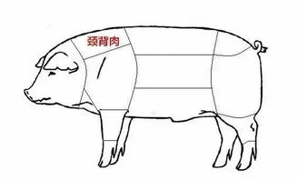 梅头肉和梅花肉的区别-图2