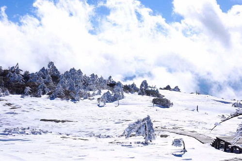 雪山上的 日出